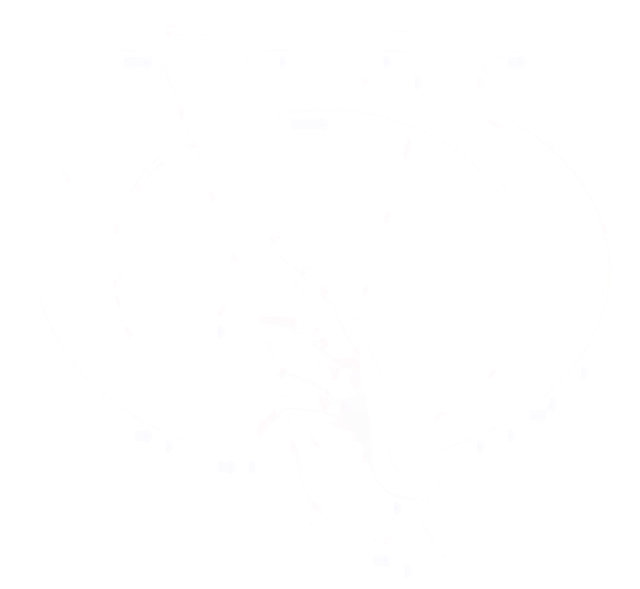 VØRQYA logosu